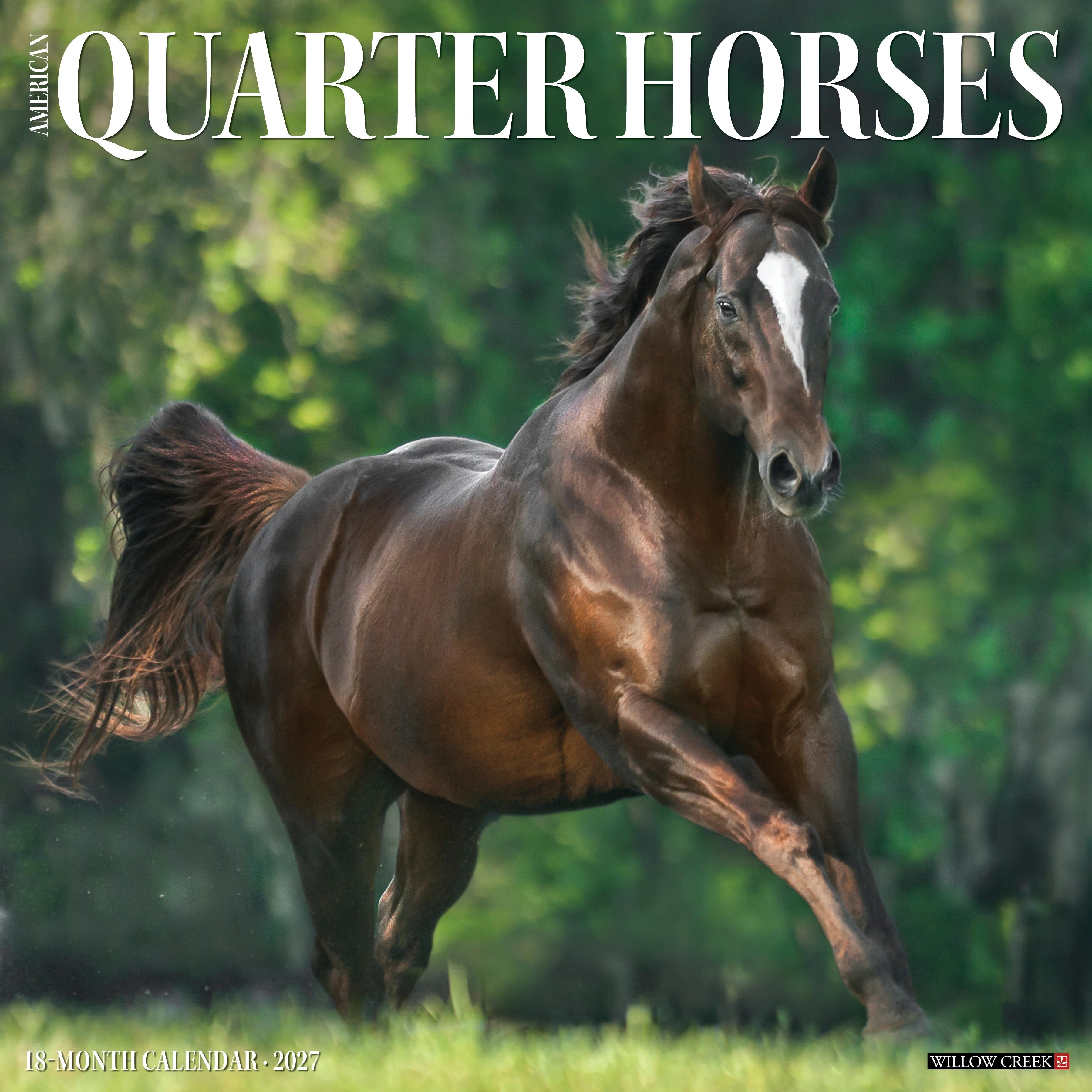 2027 American Quarter Horses Wall Calendar 12X12 20 9781549258763