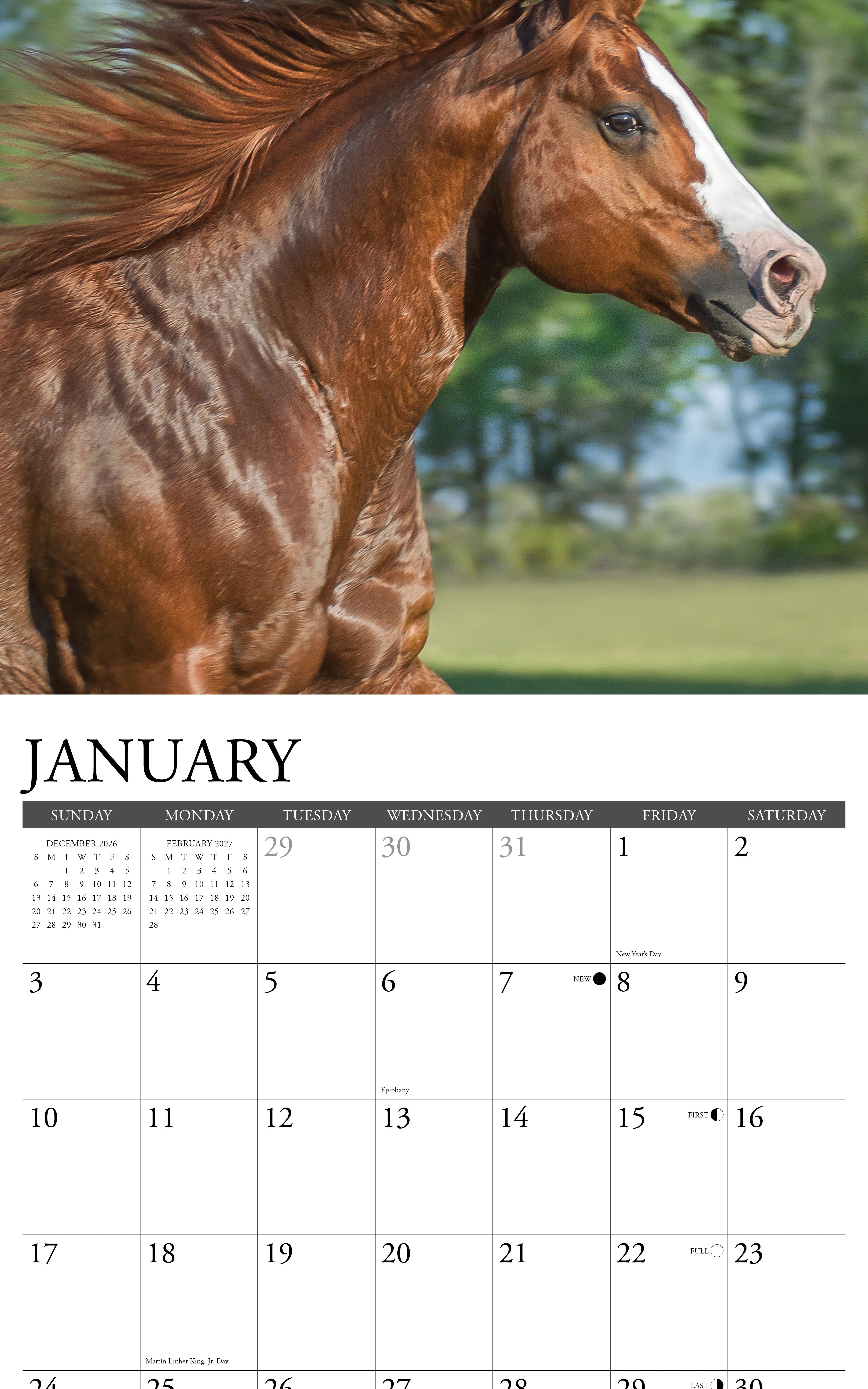 2027 American Quarter Horses Wall Calendar 12X12 20 9781549258763_1