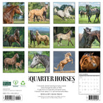 2027 American Quarter Horses Wall Calendar 12X12 20 9781549258763_62dc9e7a-bf19-4314-a06d-15952b0c80eb