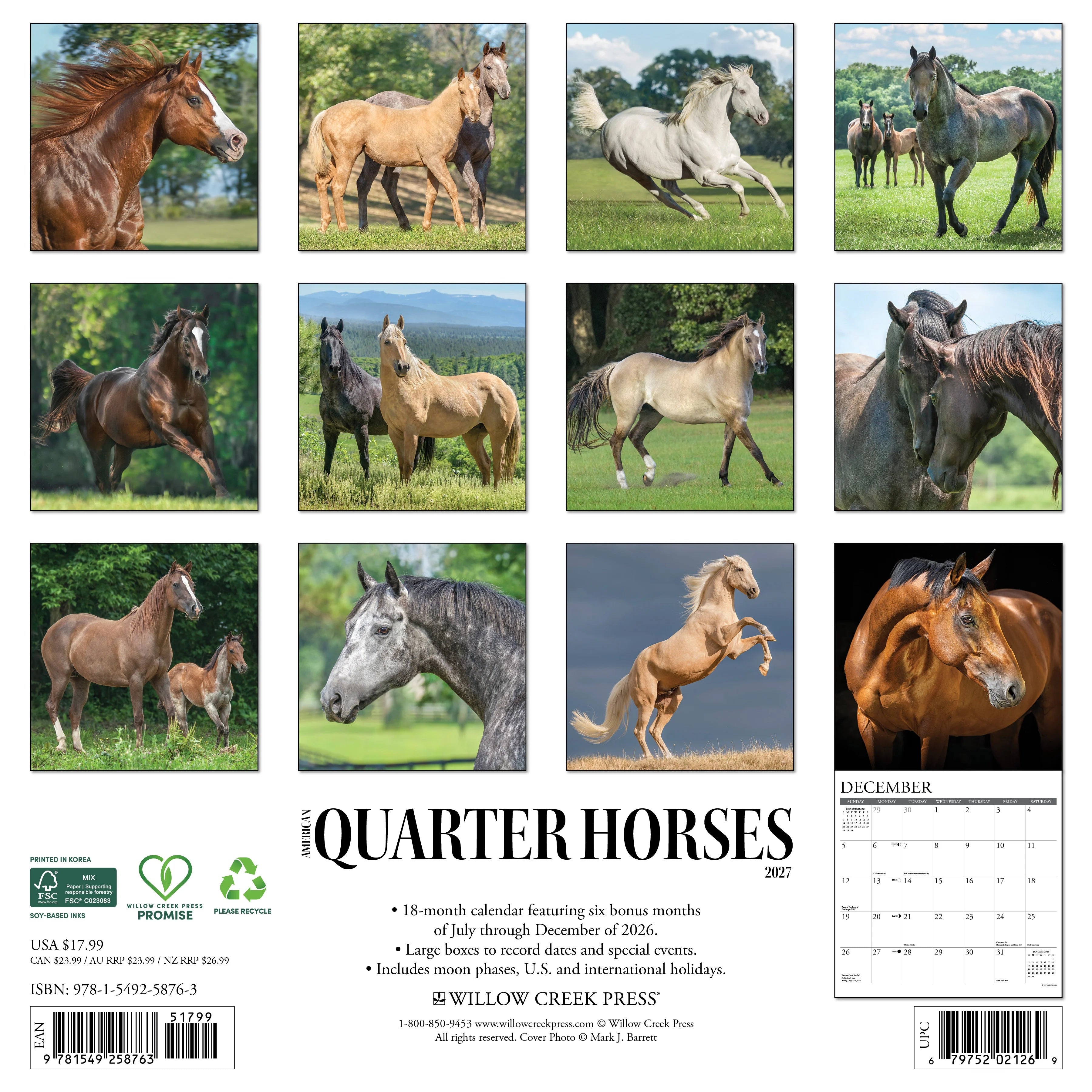 2027 American Quarter Horses Wall Calendar 12X12 20 9781549258763_62dc9e7a-bf19-4314-a06d-15952b0c80eb