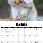 2027 Animal Antics Given Wall Calendar 12X12 20 9781549258787_1