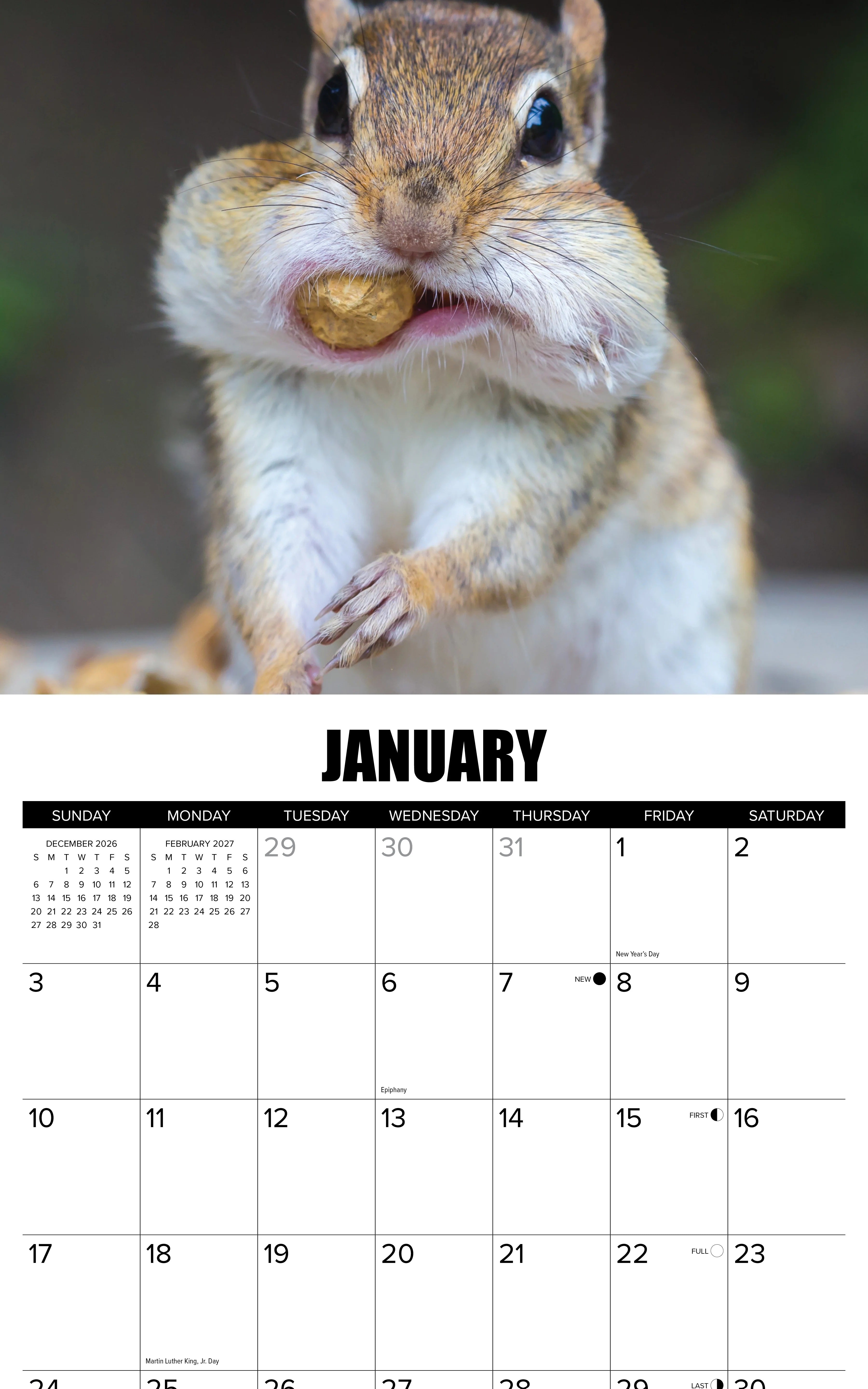 2027 Animal Antics Given Wall Calendar 12X12 20 9781549258787_1