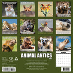 2027 Animal Antics Given Wall Calendar 12X12 20 9781549258787_42b0c579-e131-4d2b-80f3-aece88d8632f
