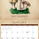 2027 Art of the Mushroom Wall Calendar 12X12 20 9781549258848_1