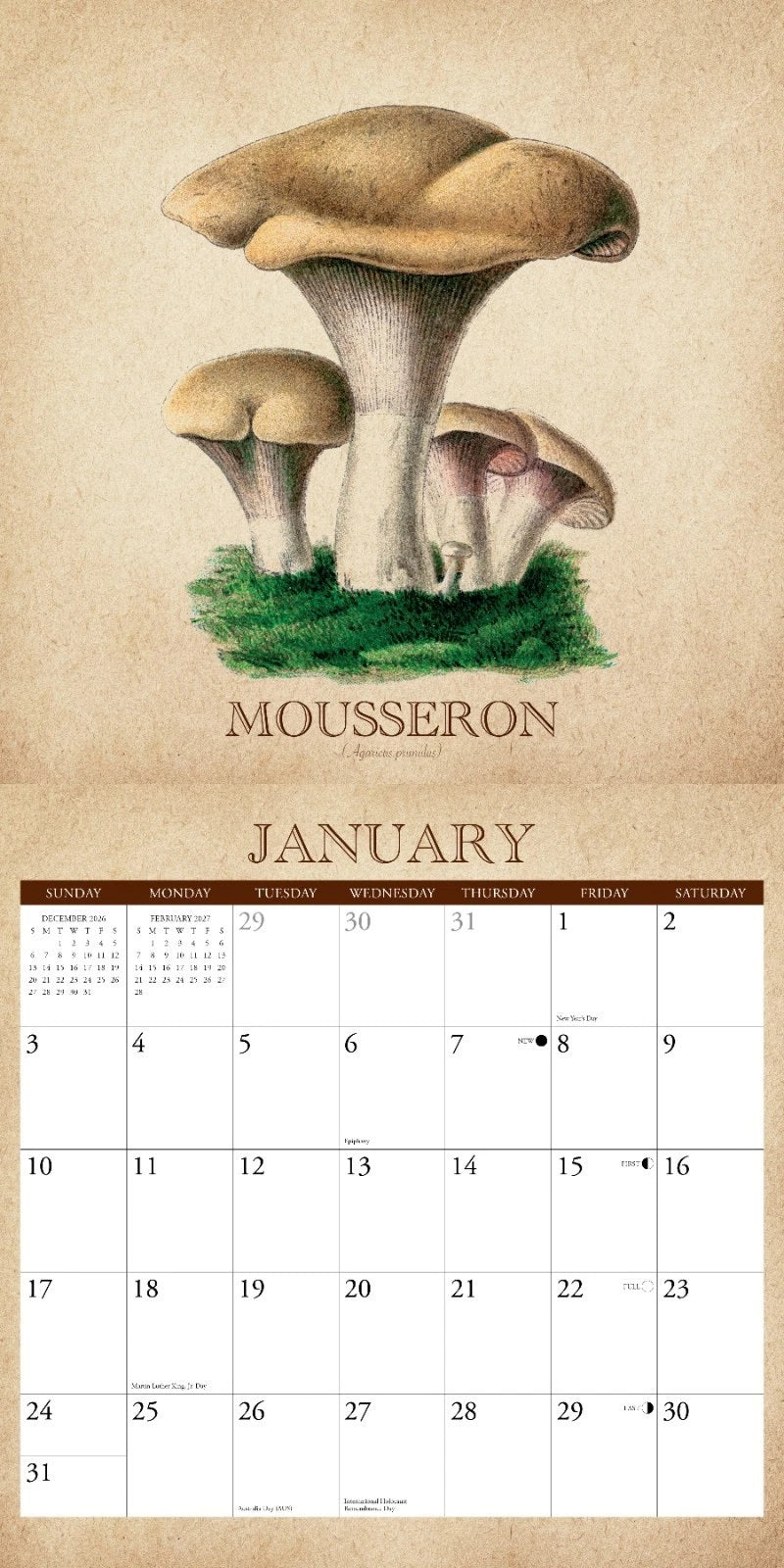 2027 Art of the Mushroom Wall Calendar 12X12 20 9781549258848_1