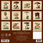 2027 Art of the Mushroom Wall Calendar 12X12 20 9781549258848_ddebef4b-295f-493b-b998-02e44a06ddb0