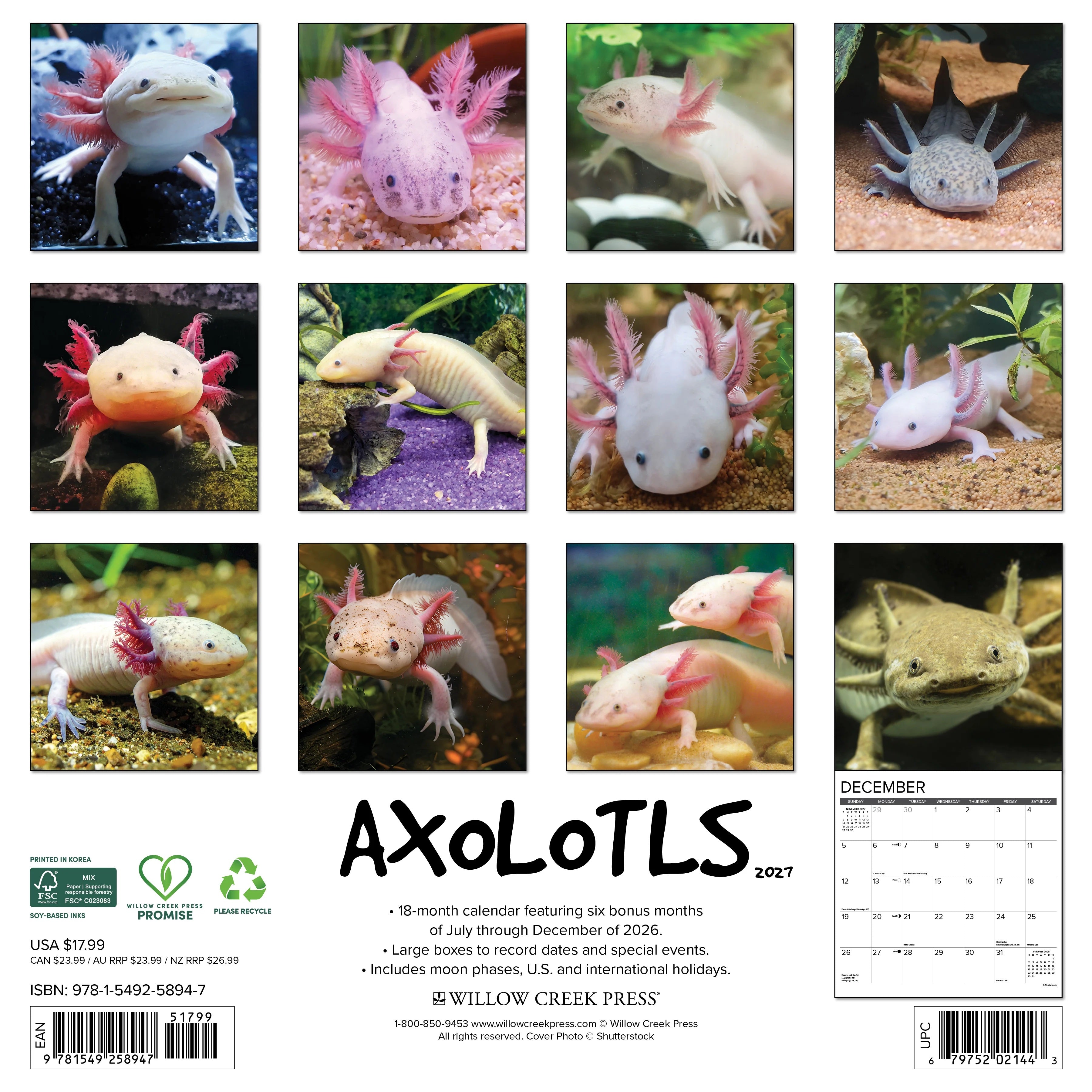 2027 Axolotls Wall Calendar 12X12 20 9781549258947_dcf4099f-be6b-4c78-ac43-8829d5126cad