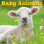2027 Baby Animals Wall Calendar 12X12 20 9781549258954