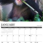 2027 Baby Animals Wall Calendar 12X12 20 9781549258954_2