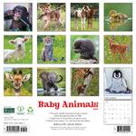 2027 Baby Animals Wall Calendar 12X12 20 9781549258954_7f1561dc-33d0-4767-ae2d-832d7b36d80a