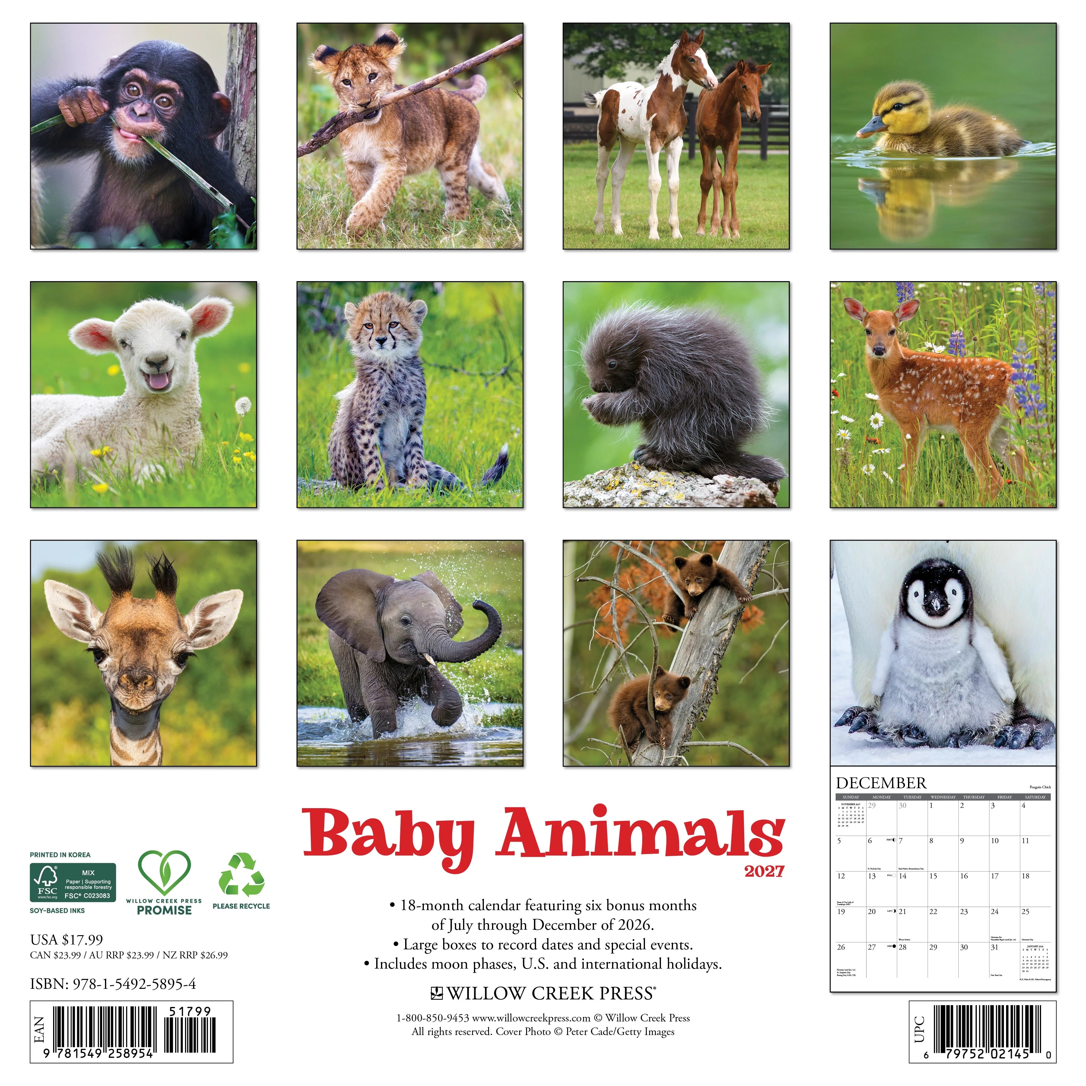 2027 Baby Animals Wall Calendar 12X12 20 9781549258954_7f1561dc-33d0-4767-ae2d-832d7b36d80a