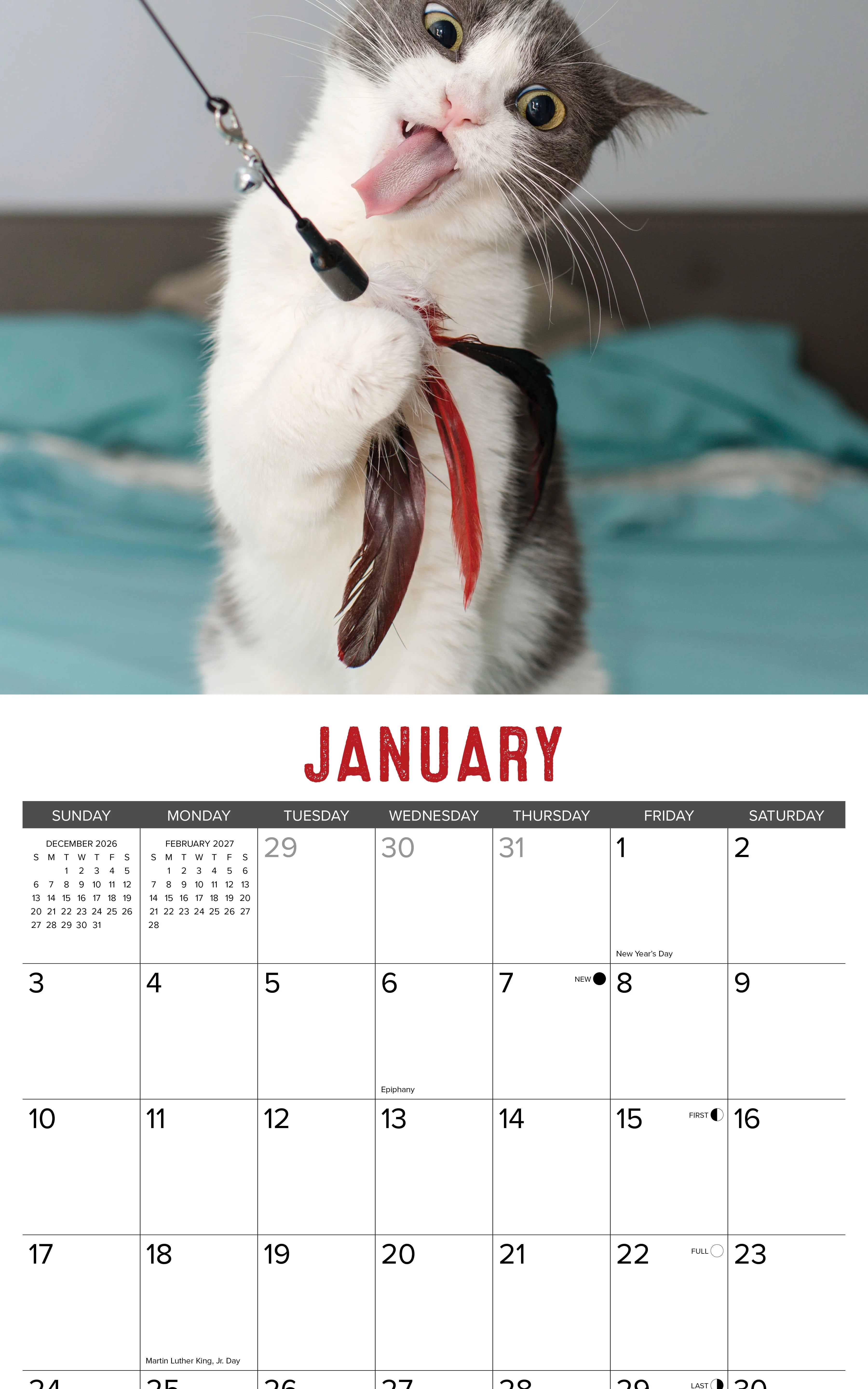 2027 Bad Kitties Wall Calendar 12X12 20 9781549258992_2
