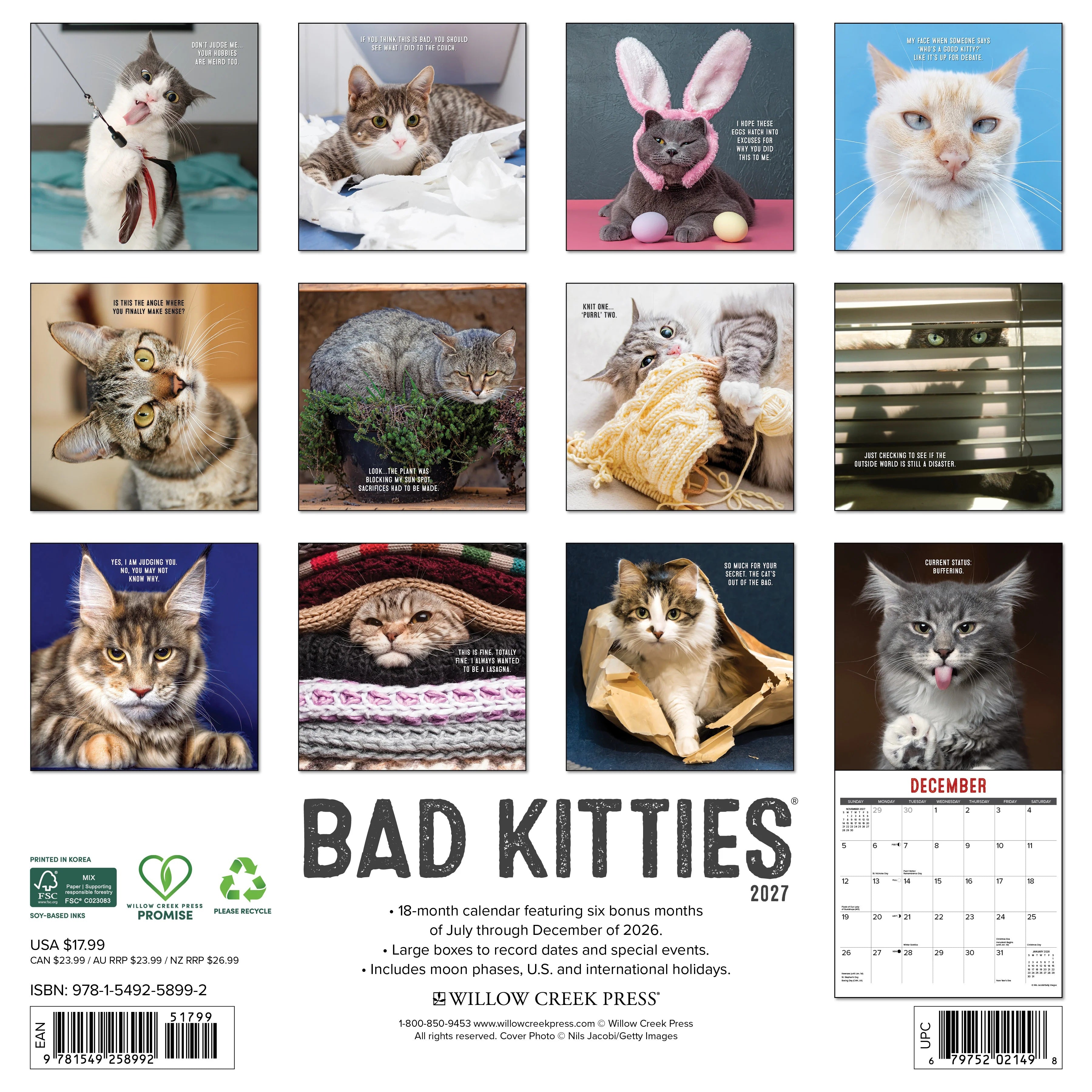 2027 Bad Kitties Wall Calendar 12X12 20 9781549258992_fe98faf5-5bc3-4ceb-9cbb-6e18efc80755