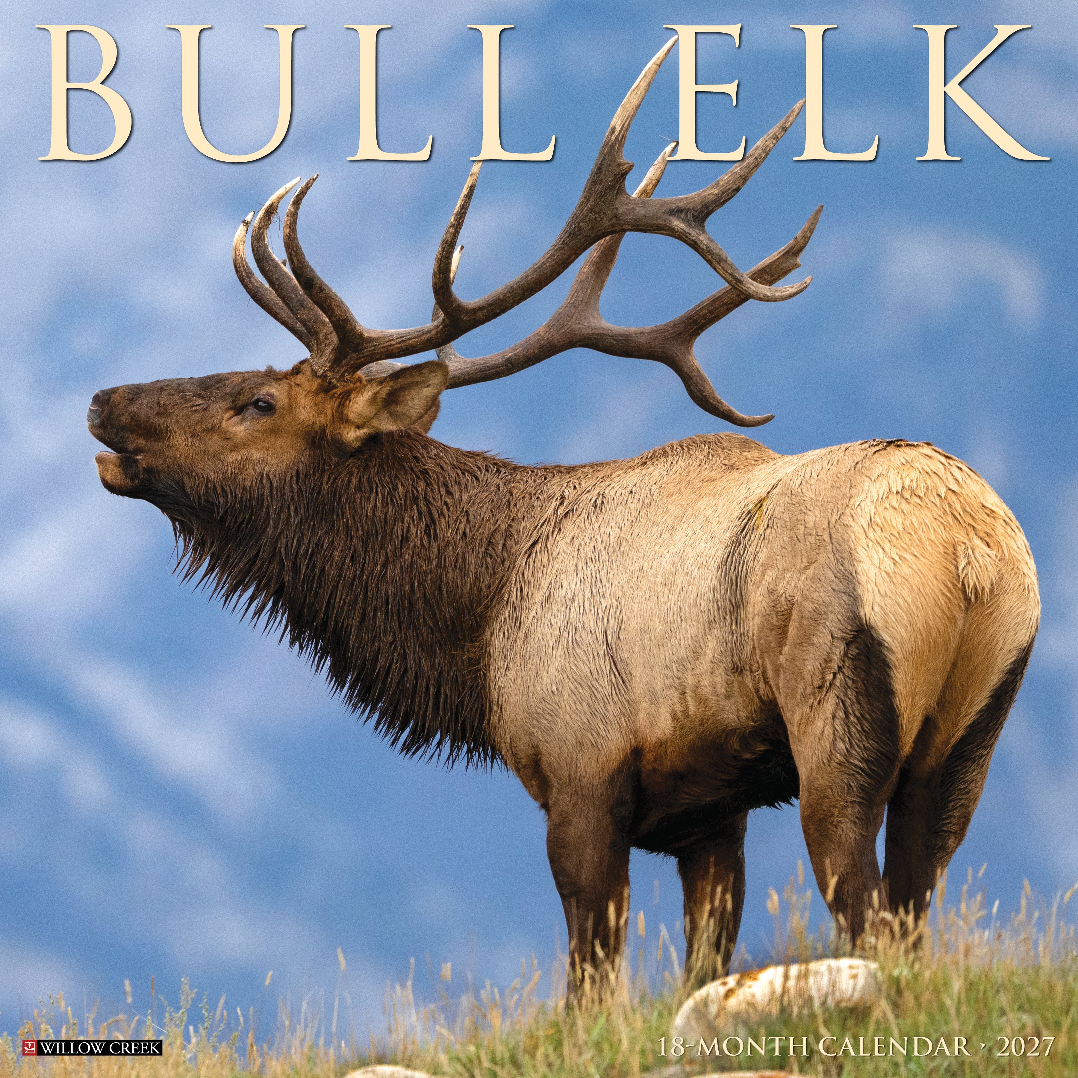 2027 Bull Elk Wall Calendar 12X12 20 9781549259357