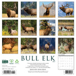 2027 Bull Elk Wall Calendar 12X12 20 9781549259357_182bebe2-c3d2-41e8-99fb-6ac586f8ae4e