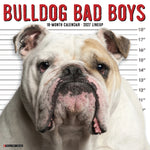 2027 Bulldog Bad Boys Wall Calendar 12X12 20 9781549259364