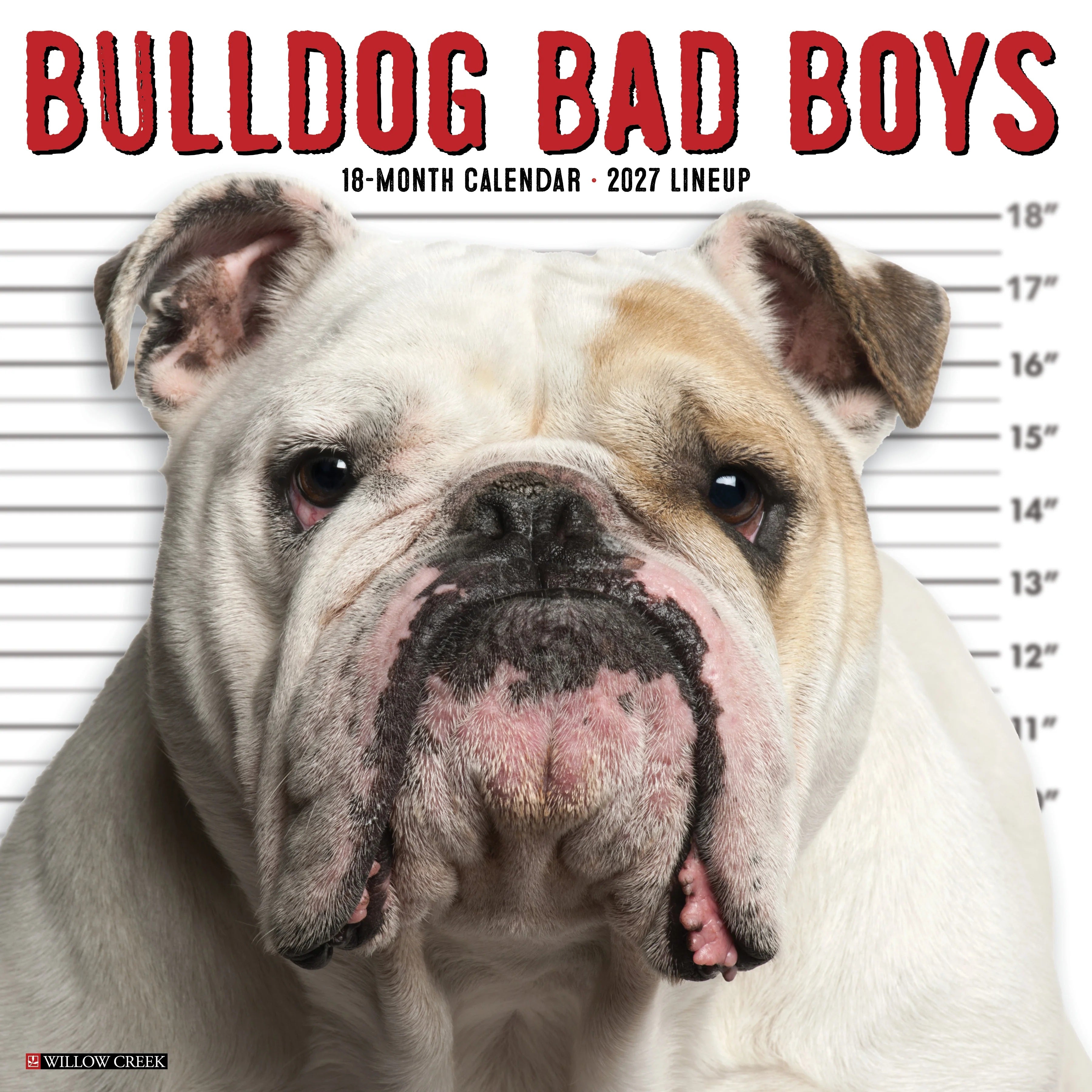 2027 Bulldog Bad Boys Wall Calendar 12X12 20 9781549259364