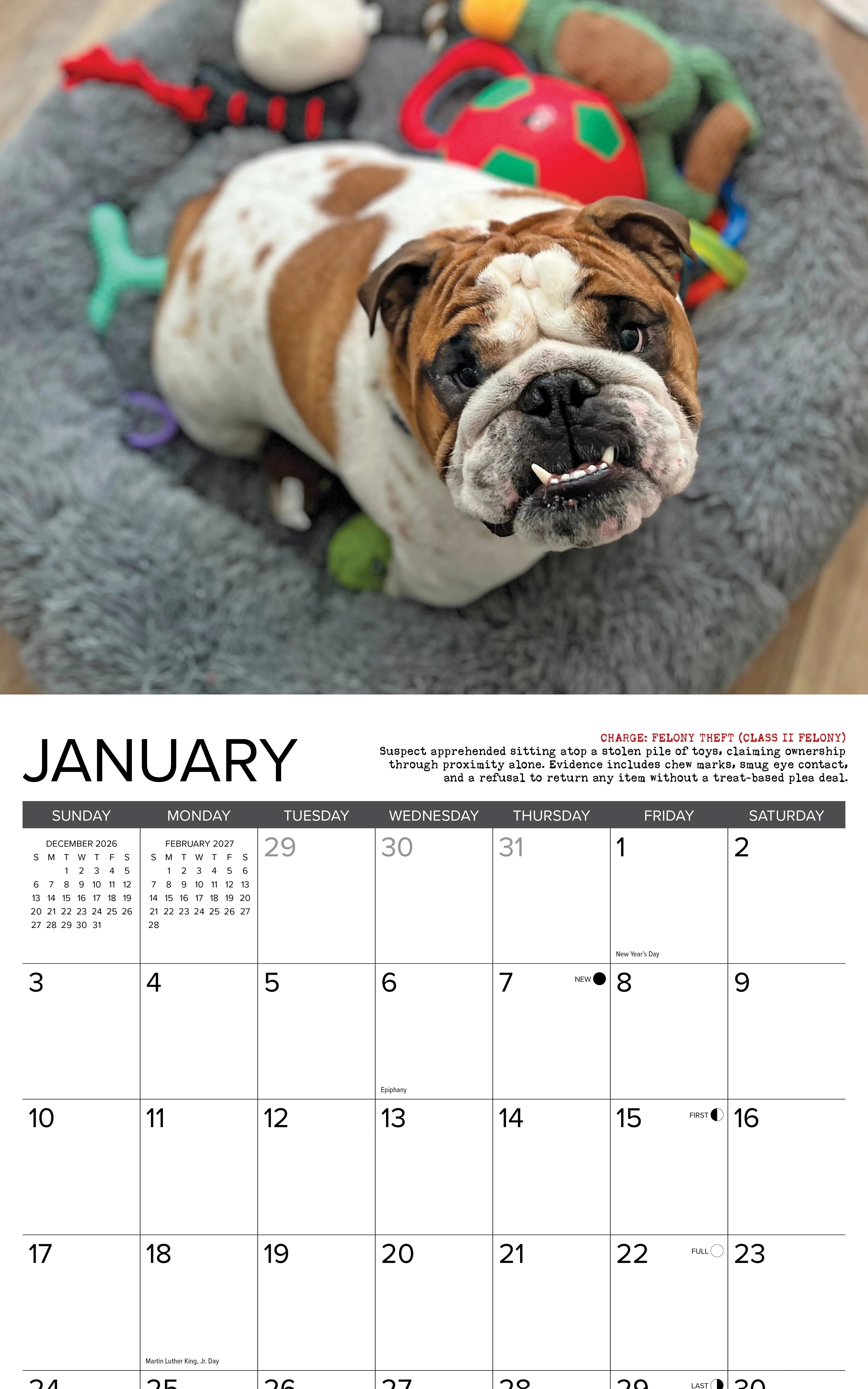2027 Bulldog Bad Boys Wall Calendar 12X12 20 9781549259364_1