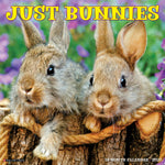 2027 Just Bunnies Wall Calendar 12X12 20 9781549259395