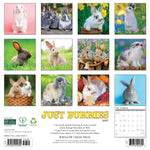 2027 Just Bunnies Wall Calendar 12X12 20 9781549259395_eec6a1bd-f97a-4303-9120-6fba95c621d2