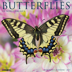 2027 Butterflies of North America Wall Calendar 12X12 20 9781549259401
