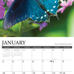 2027 Butterflies of North America Wall Calendar 12X12 20 9781549259401_2