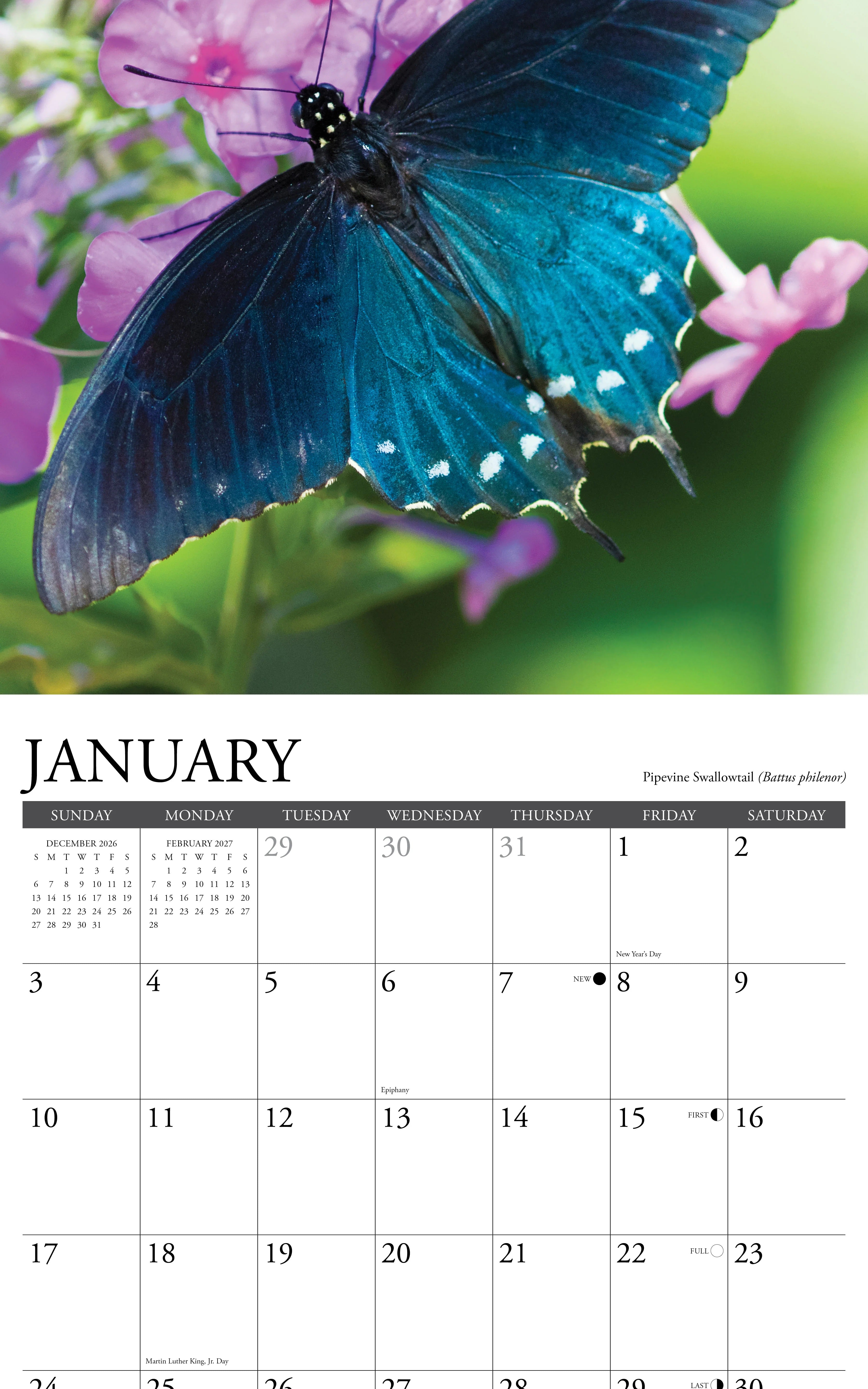2027 Butterflies of North America Wall Calendar 12X12 20 9781549259401_2