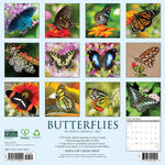 2027 Butterflies of North America Wall Calendar 12X12 20 9781549259401_e3cfd52a-d80e-4c3e-99a1-ce89cb52f00f