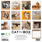 2027 Cat in a Box Wall Calendar 12X12 20 9781549259531_0d9213a4-92b0-46b3-9772-a58b11a637ea