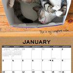 2027 Cat in a Box Wall Calendar 12X12 20 9781549259531_1