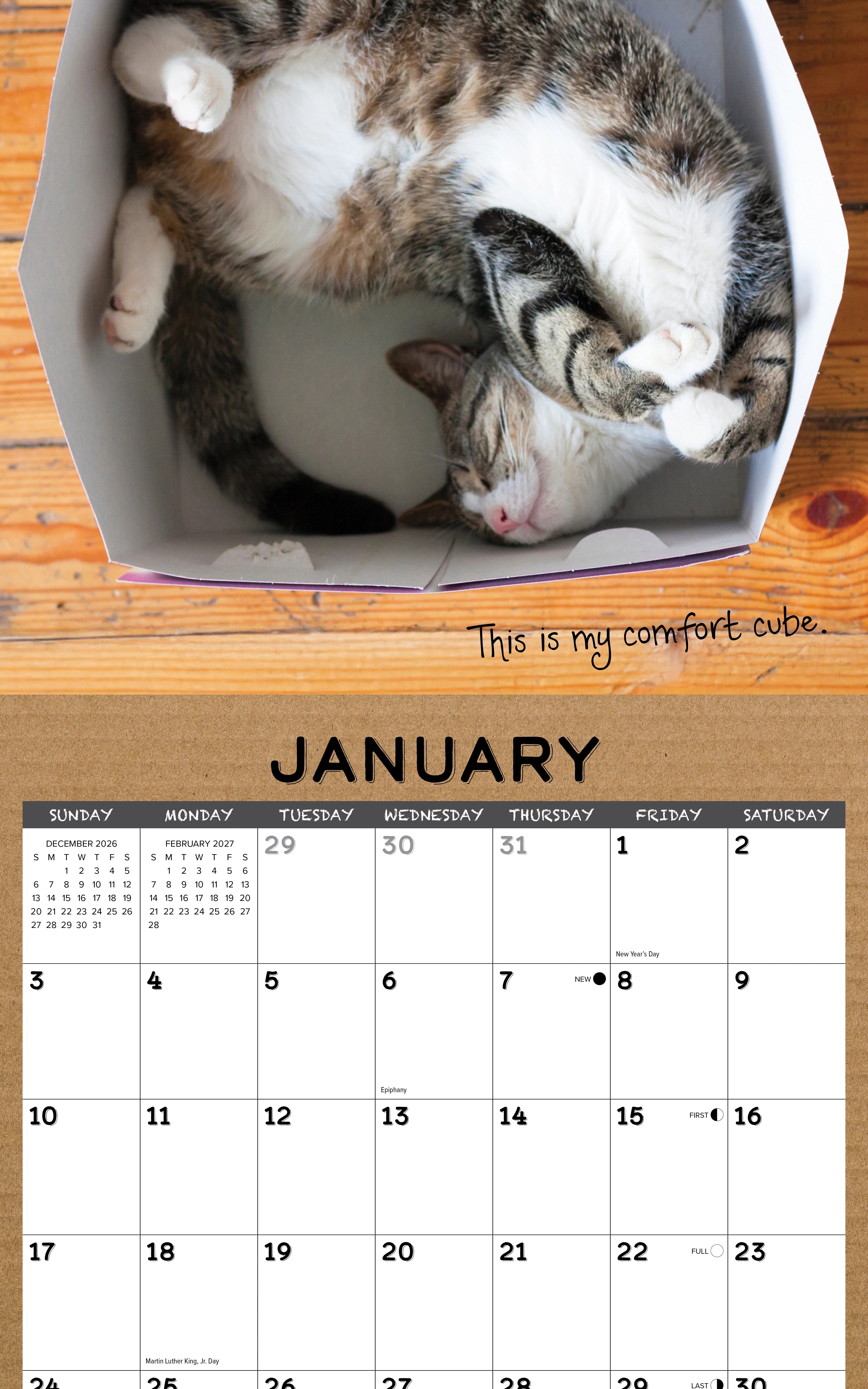 2027 Cat in a Box Wall Calendar 12X12 20 9781549259531_1