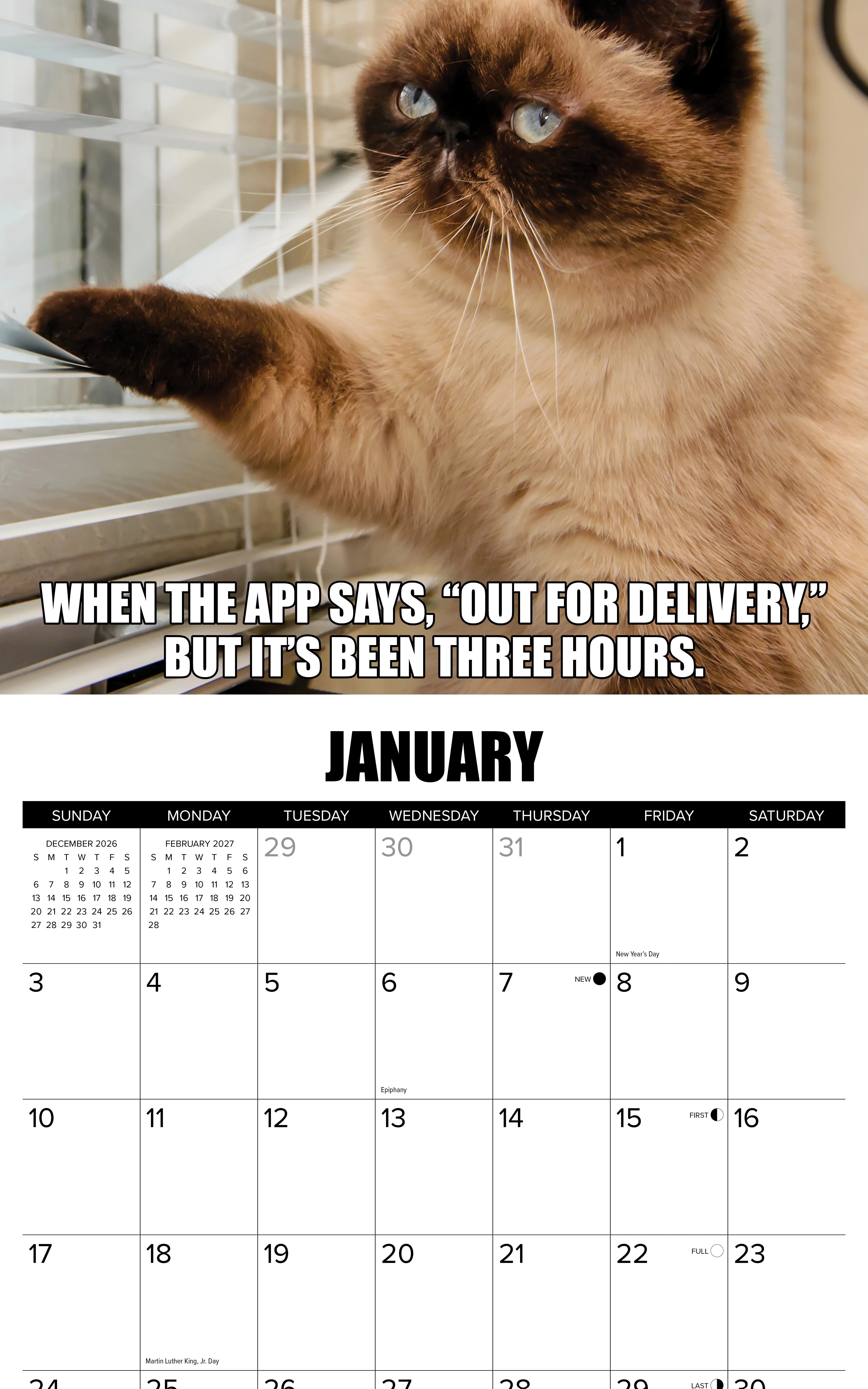 2027 Cat-astrophe Wall Calendar 12X12 20 9781549259555_2