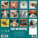 2027 Cat-astrophe Wall Calendar 12X12 20 9781549259555_b6277923-7adf-4b1c-93b4-3e001fd5d1b2