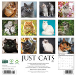 2027 Just Cats Wall Calendar 12X12 20 9781549259562