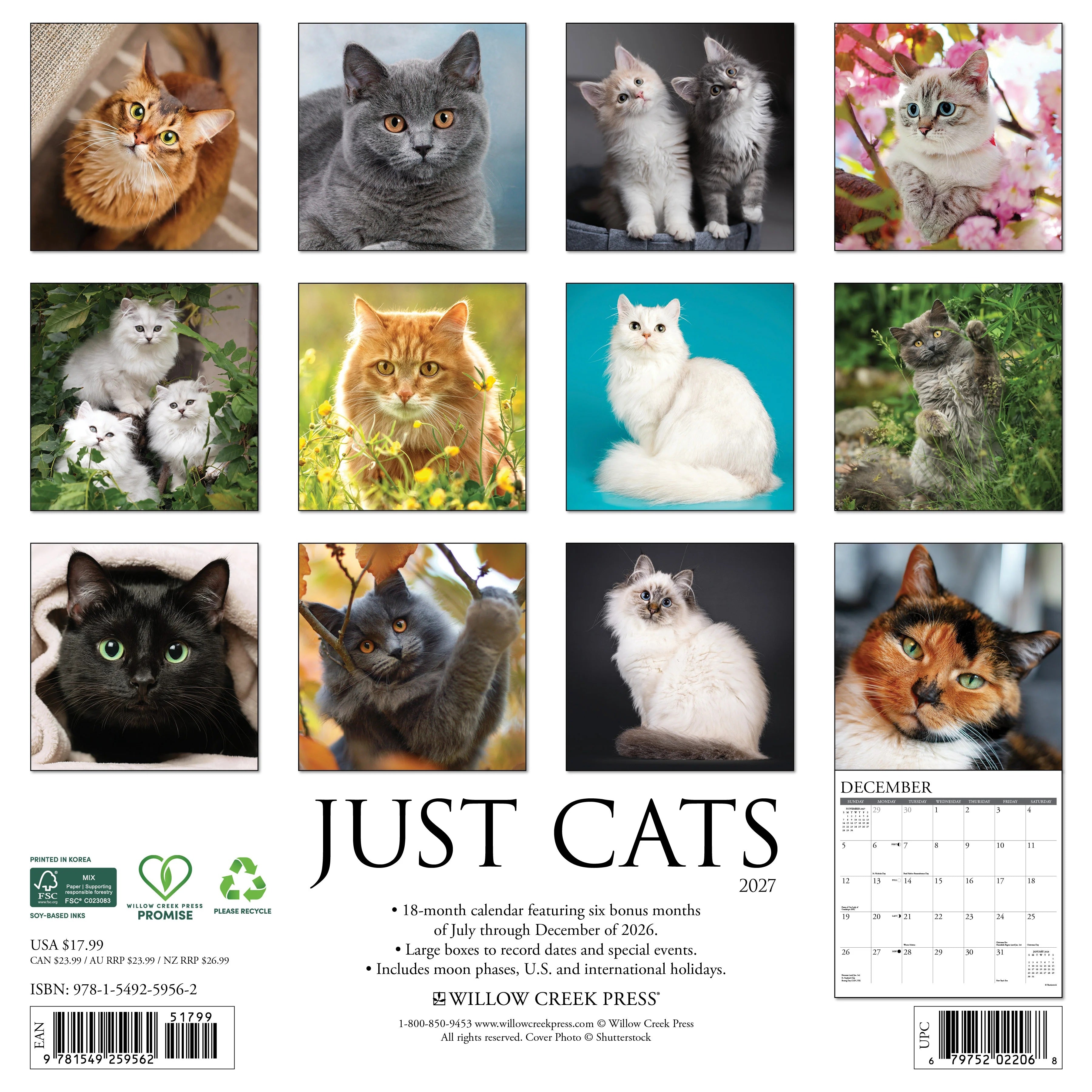 2027 Just Cats Wall Calendar 12X12 20 9781549259562