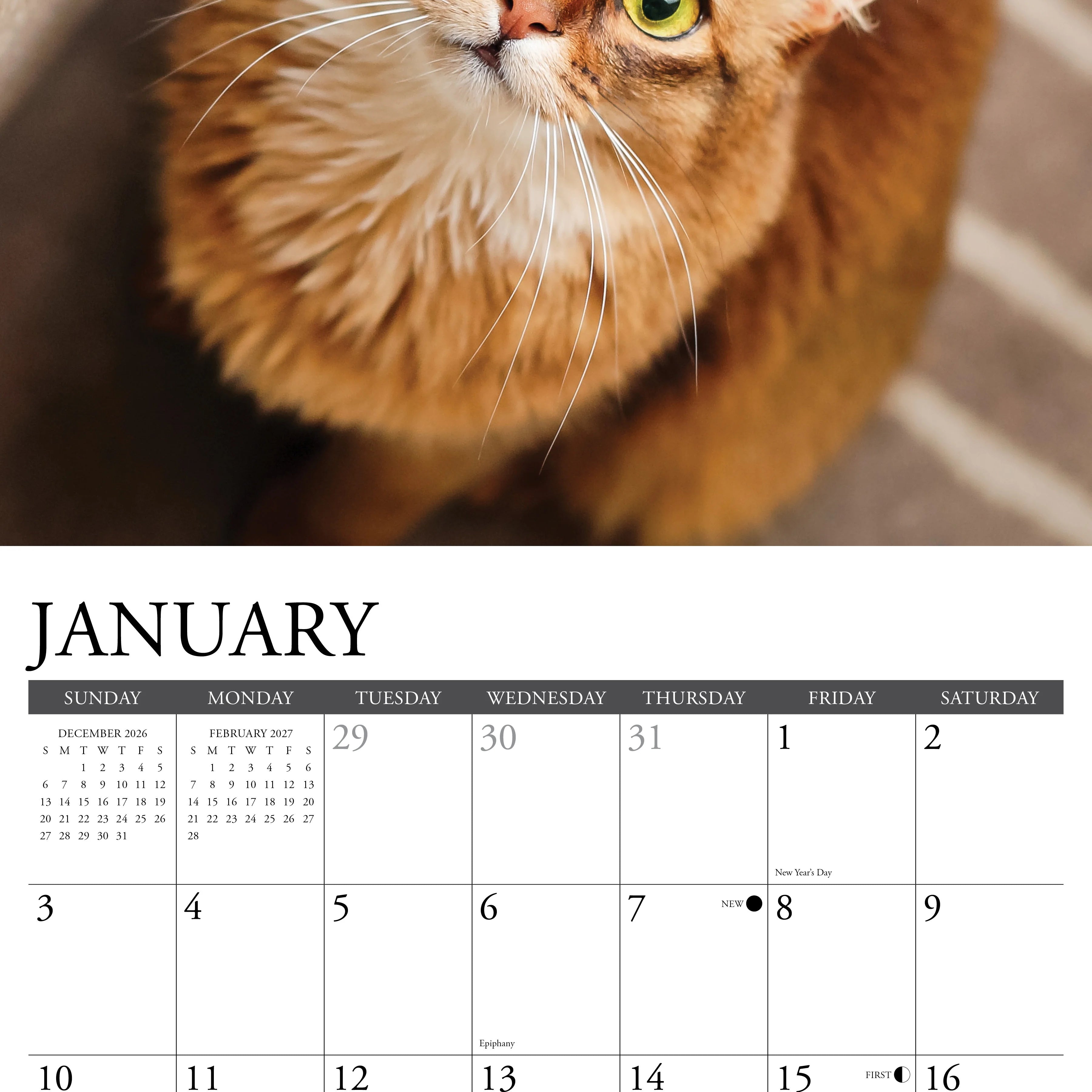2027 Just Cats Wall Calendar 12X12 20 9781549259562_1