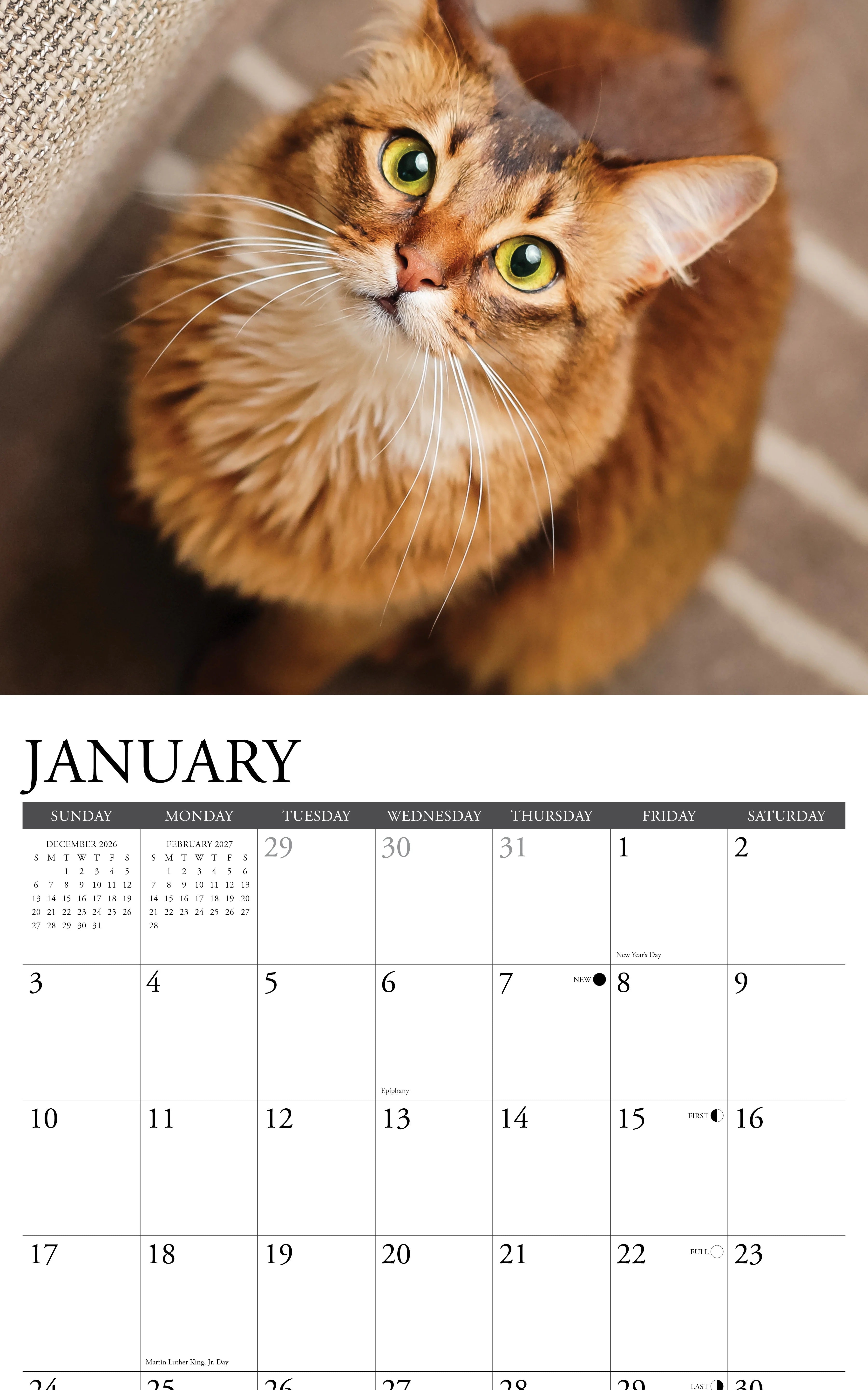 2027 Just Cats Wall Calendar 12X12 20 9781549259562_1