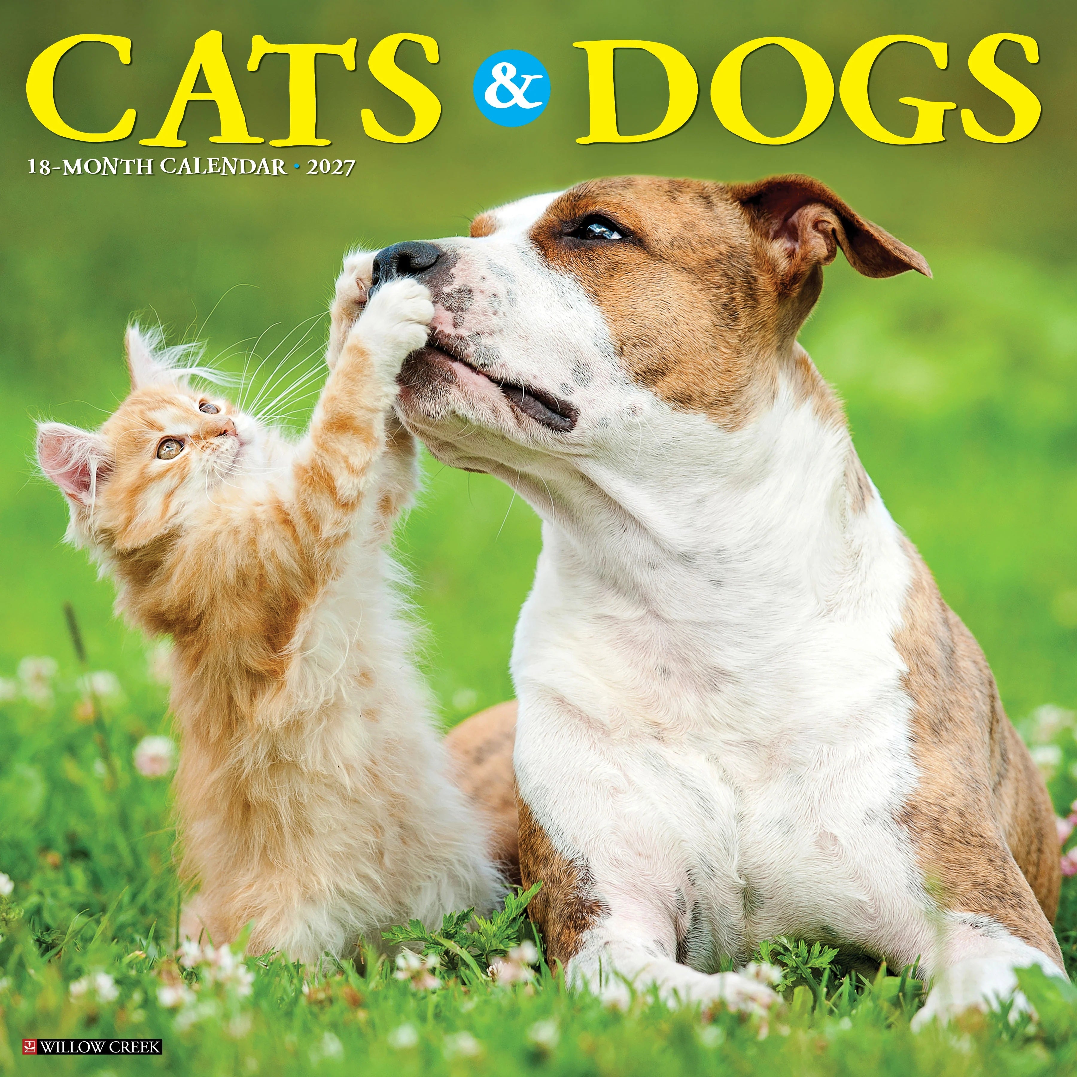 2027 Cats & Dogs Wall Calendar 12X12 20 9781549259579
