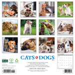 2027 Cats & Dogs Wall Calendar 12X12 20 9781549259579_7e860bc7-d605-48e5-901a-487f575fc2a9