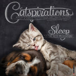 2027 Catspirations Wall Calendar 12X12 20 9781549259593