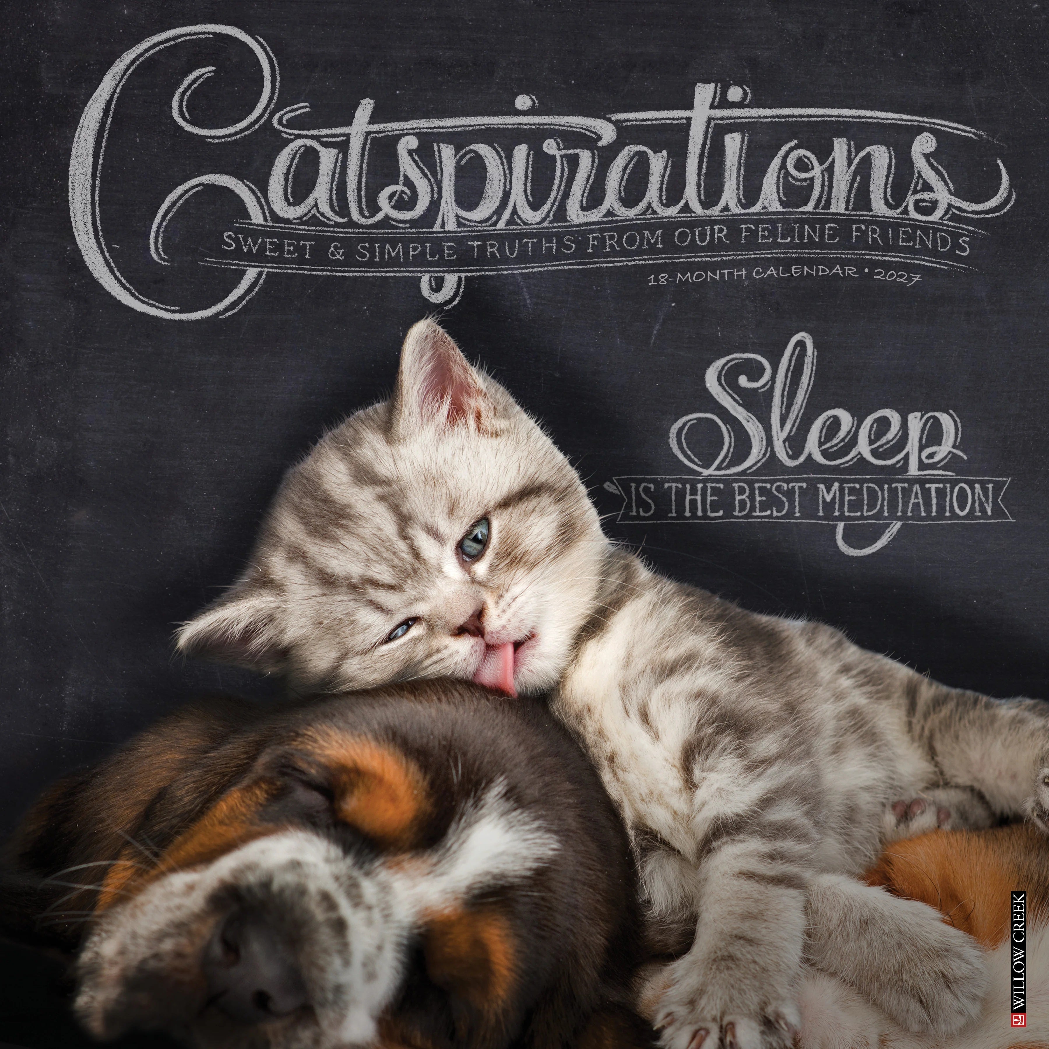 2027 Catspirations Wall Calendar 12X12 20 9781549259593
