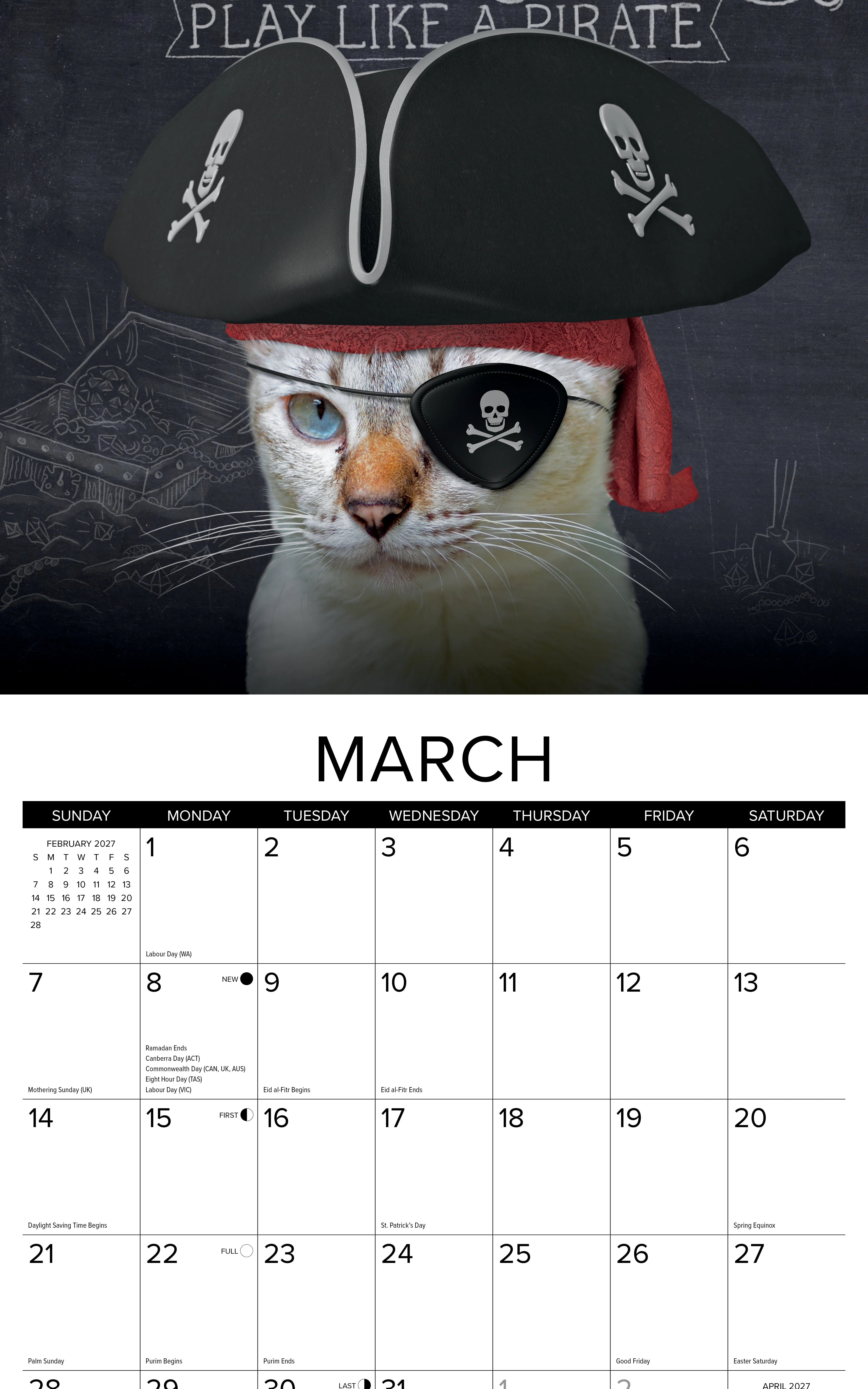 2027 Catspirations Wall Calendar 12X12 20 9781549259593_1