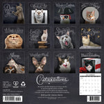 2027 Catspirations Wall Calendar 12X12 20 9781549259593_812d954d-7428-404c-aa50-72df825bc09c