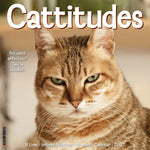 2027 Catspirations Wall Calendar 12X12 20 9781549259609