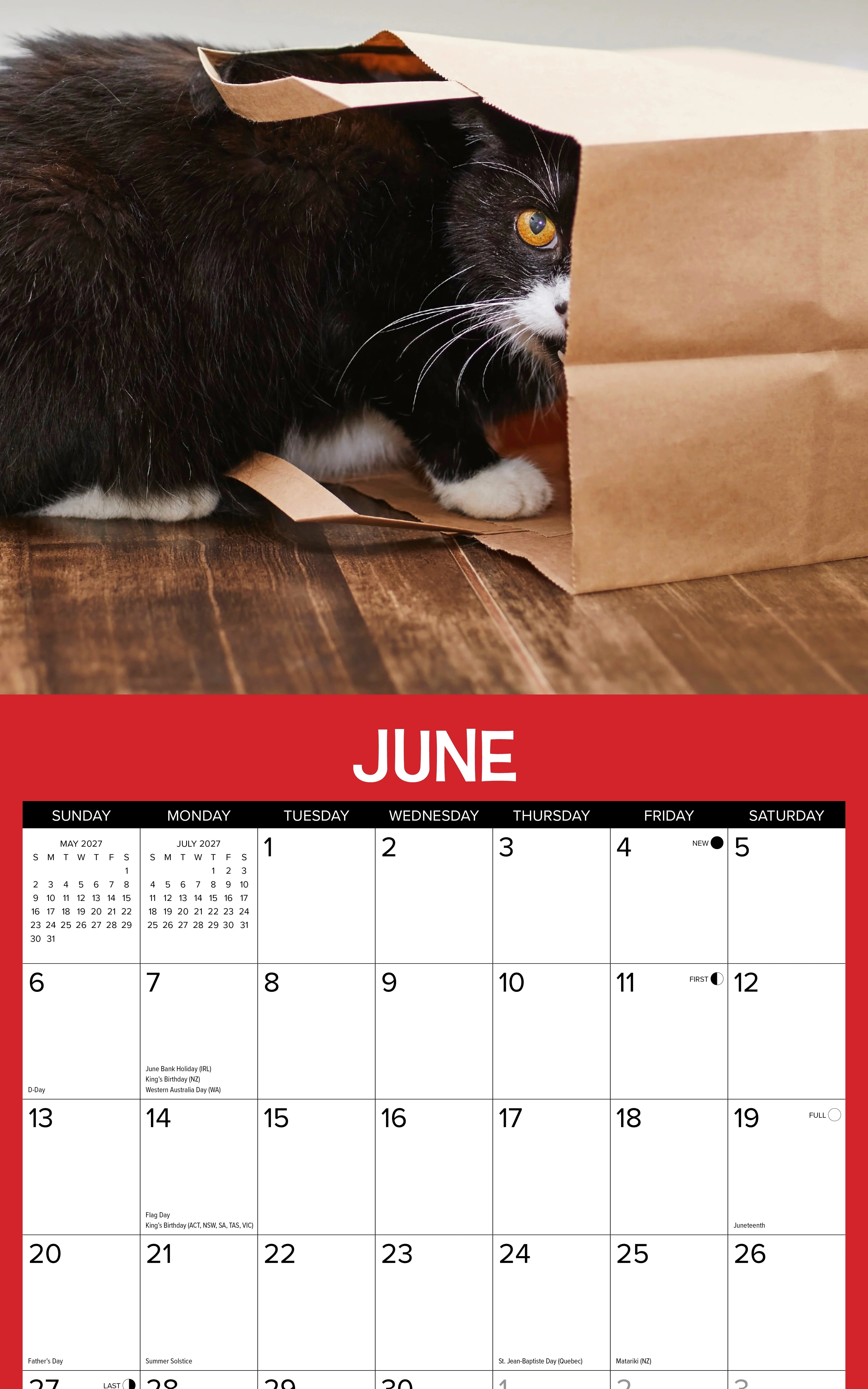 2027 Catspirations Wall Calendar 12X12 20 9781549259609_2