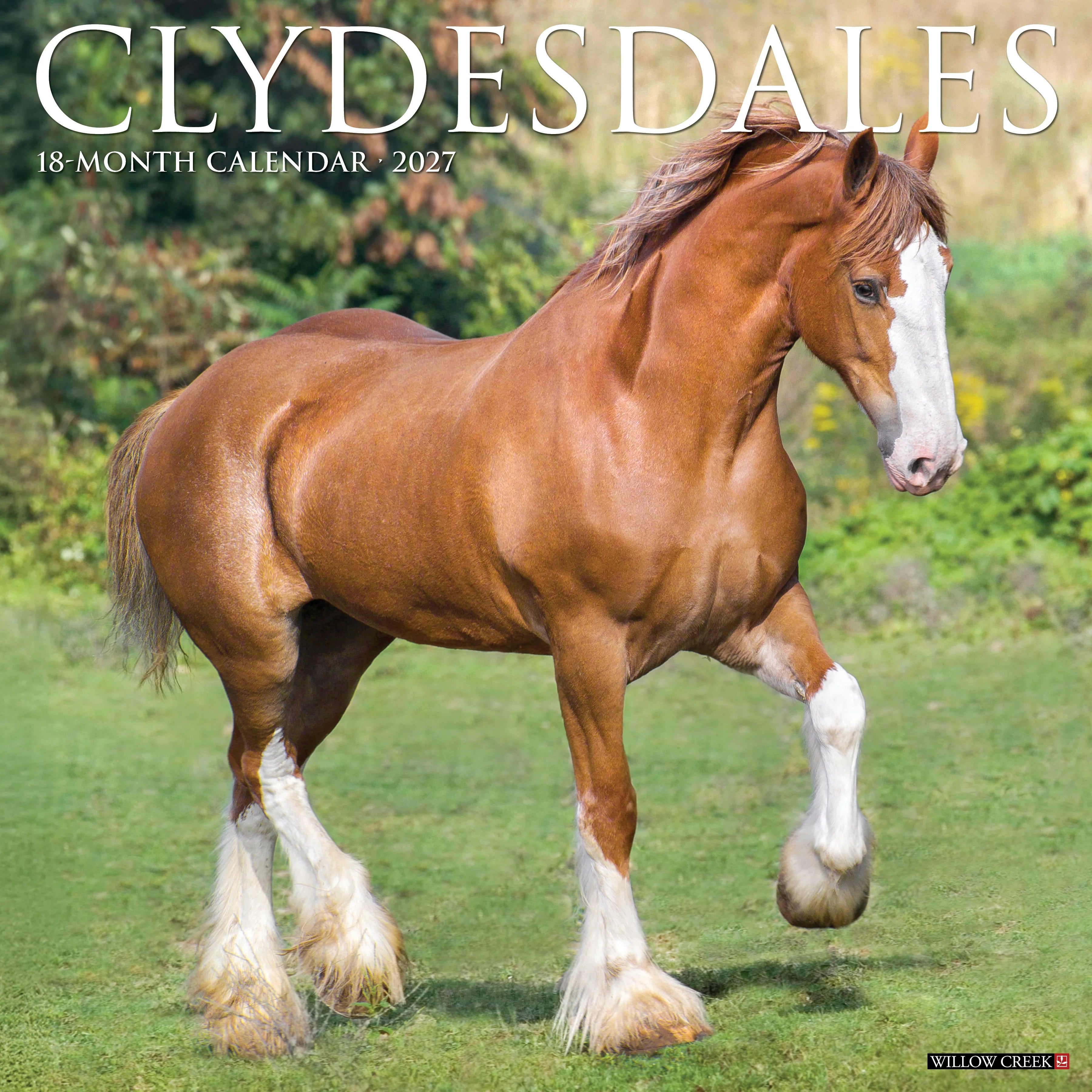 2027 Clydesdales Wall Calendar 12X12 20 9781549259784