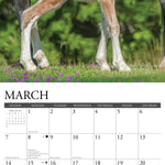 2027 Clydesdales Wall Calendar 12X12 20 9781549259784_1
