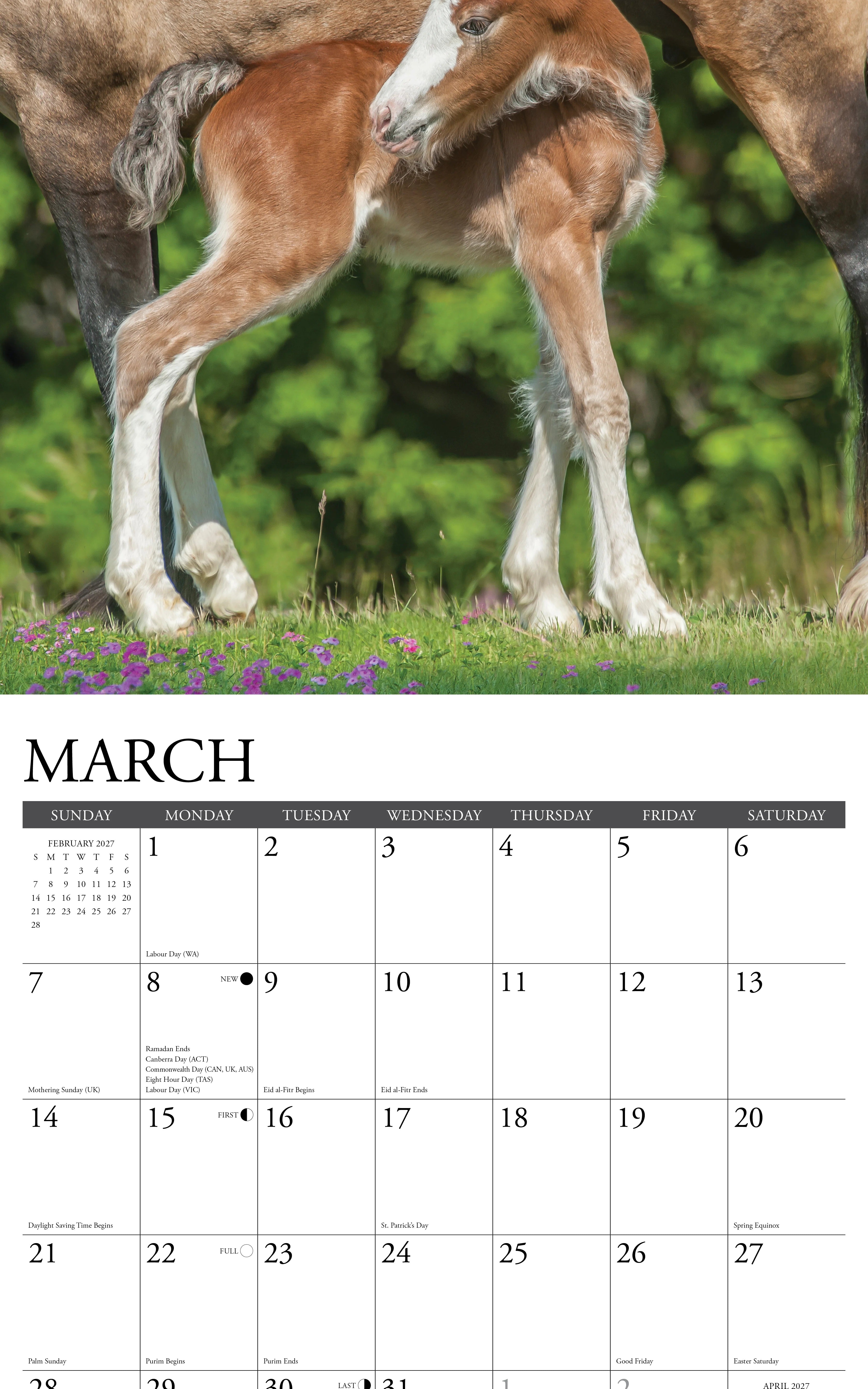 2027 Clydesdales Wall Calendar 12X12 20 9781549259784_1