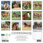 2027 Clydesdales Wall Calendar 12X12 20 9781549259784_c73f4afd-8642-4f16-be72-012ee8f2c014