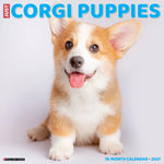 2027 Just Corgi Puppies Wall Calendar 12X12 20 9781549259838